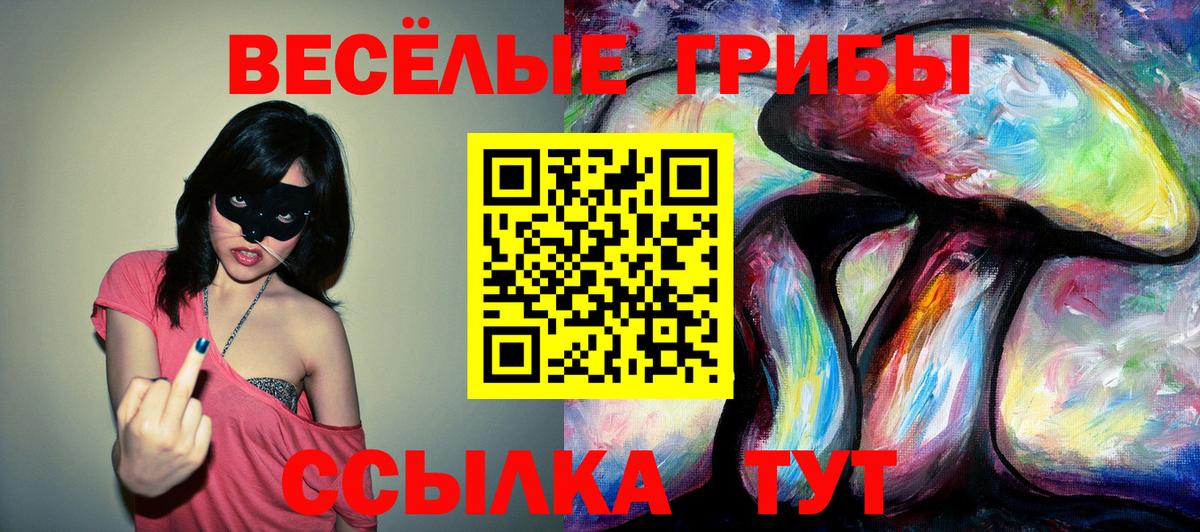 наркошоп  Псилоцибиновые грибы Magic Shrooms  Галлюциногенные грибы MAGIC MUSHROOMS  Вход с VPN  Гагарин 